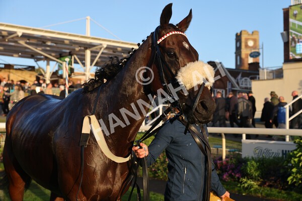 yr07102022r7-66 - Race 7 5.35pm IRE Incentive, It Pays To Buy Irish Stakes