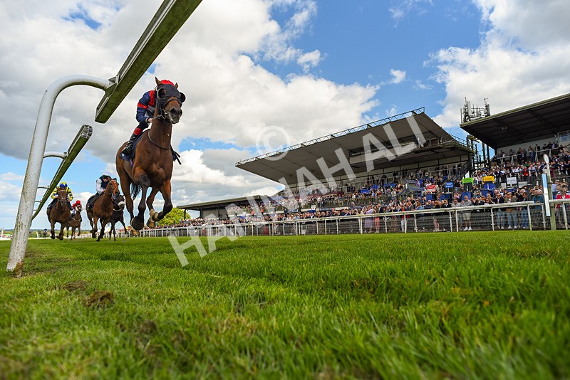 080624-Race 6-Walter Hartright-0632 - Race 6