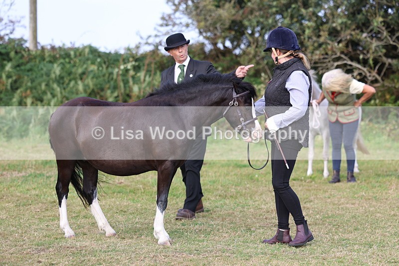 3E7A3250 - Class 12: M & M Small Breeds