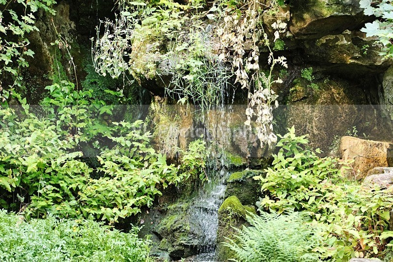 Fairy Glen - Liverpool