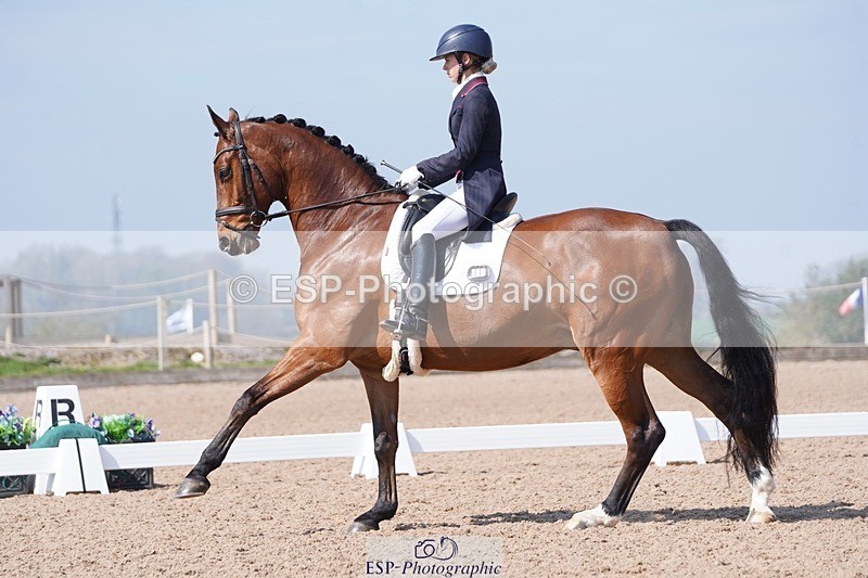 250404-122838-05663 - 028-Elizabeth.Allen-Heraldik