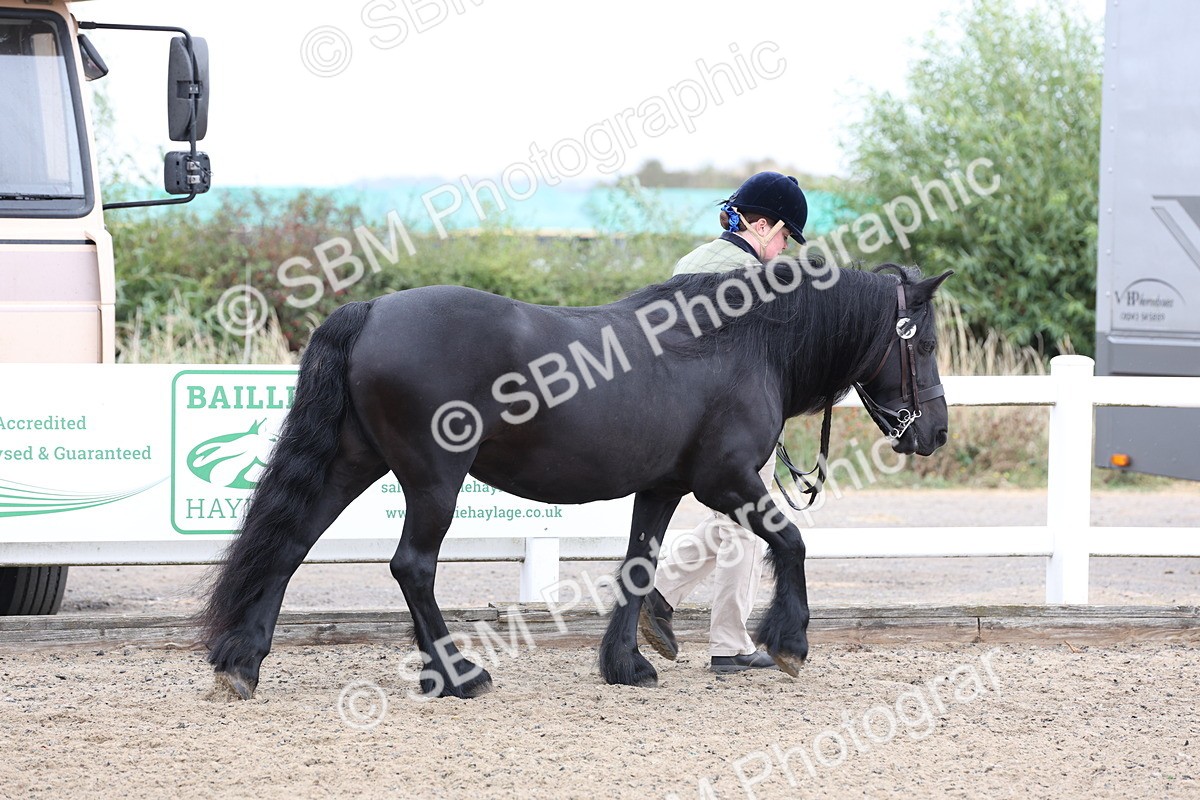 SBM_00023 - Class 50 - Best Turned Out IH