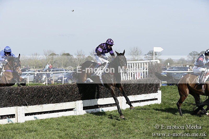 PtP 260317 218 - Mendip Farmers Point-to-Point Ston Easton 26/03/17