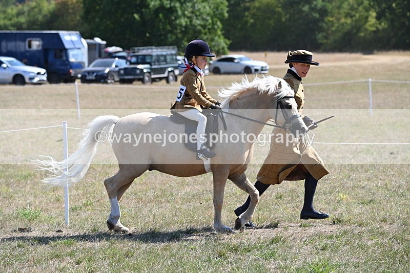 WJ6_7744 - Class 36 Lead Rein