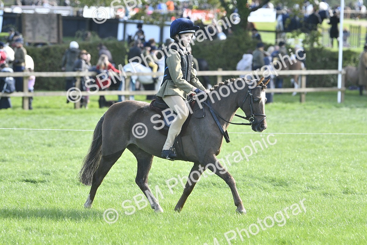 SBM_37217 - S31 - Novice & Newcomer Working Hunter Pony
