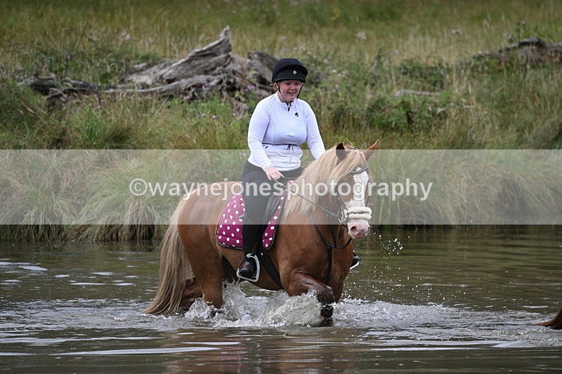 WJ7_5686 - Time at Water 14:54 to 15:14
