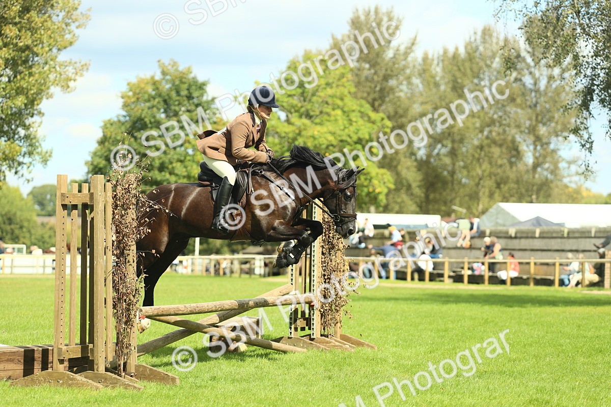 SBM_42864 - S30 - M&M Working hunter Pony