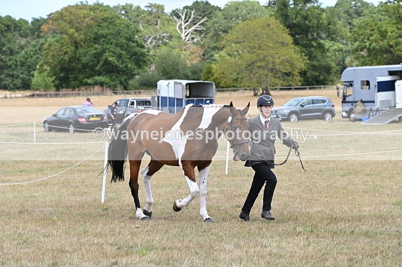 WJ6_5989 - Class 19 In-hand Veterans (Uploaded correct folder)