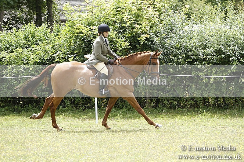 BVR160717-1827 - Ring 3 BVRC Show 16/07/17