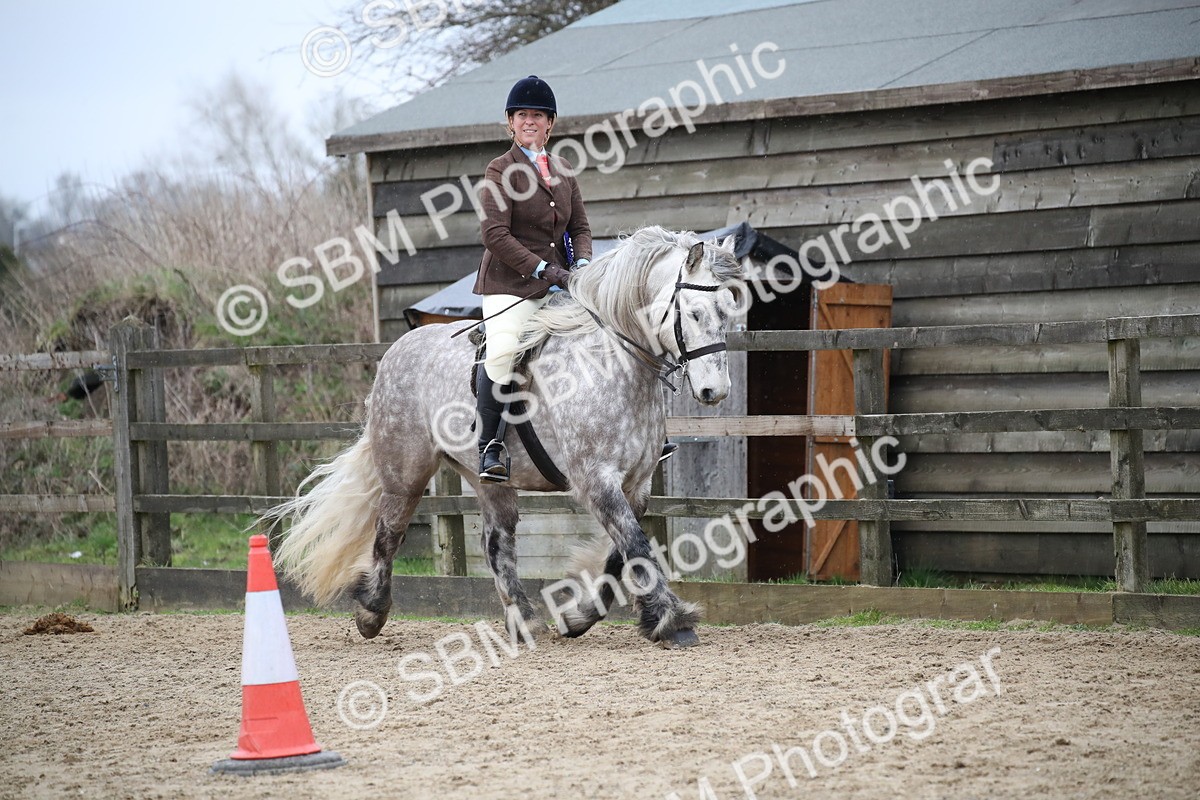 SBM_007318 - Class 10-13 - RIHS Small Large Breeds