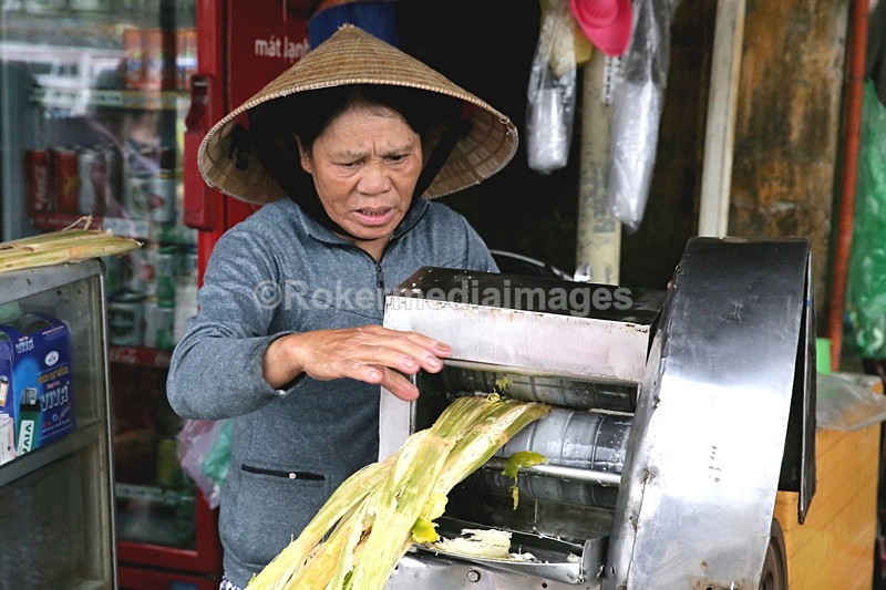 VIET_0489 - Vietnam 2017