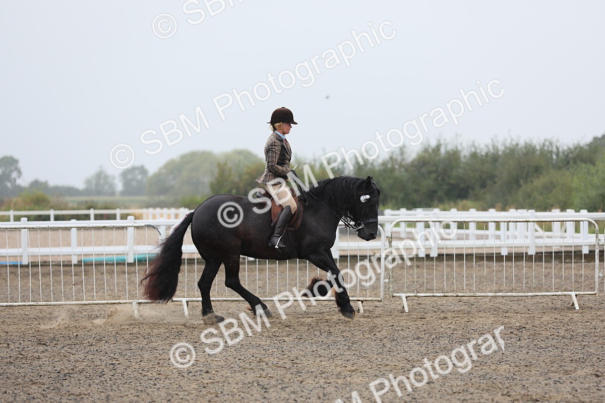 SBM_20291 - Class 803 - Ridden Combination 65+