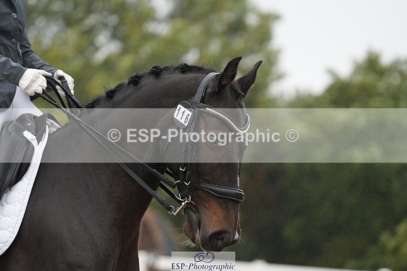 250907-142519-07764 - 116-Louise.CupittEnergiek.N