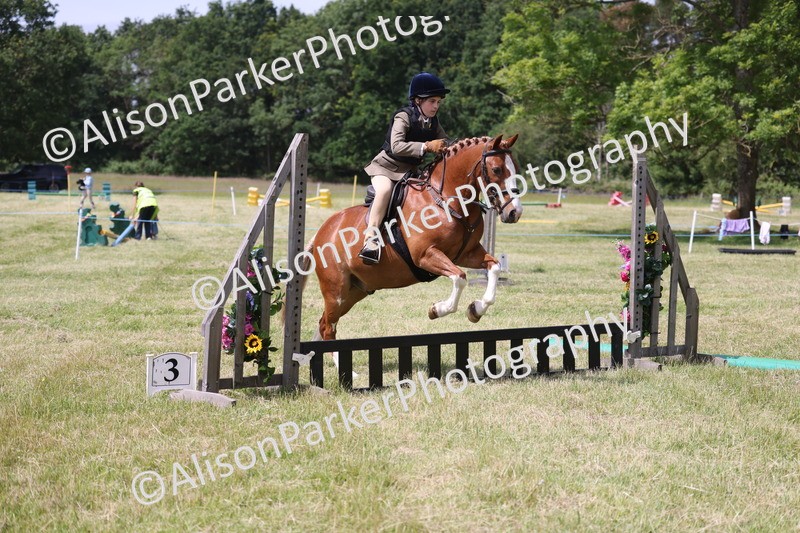 20260614-1926 - Class 21 - Novice Working Hunter Pony