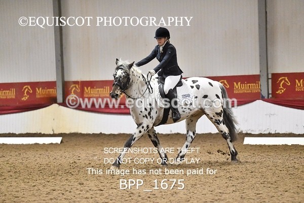 BPP_1675 - PC NOVICE DRESSAGE