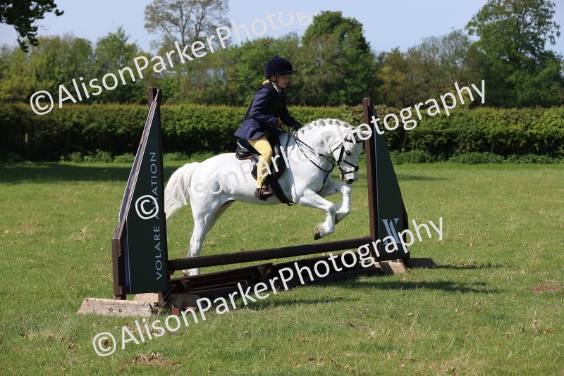 20250427-2391 - Class 19 - Mini Working Hunter