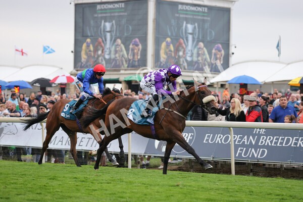 yr22072022r4-31 - Race 4 6.50pm The IRE Incentive It Pays To Buy Irish EBF Restricted Novice Stakes