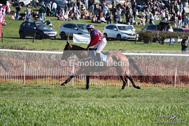 PtP 210326 282 - VWH Cirencester Races 21/03/26