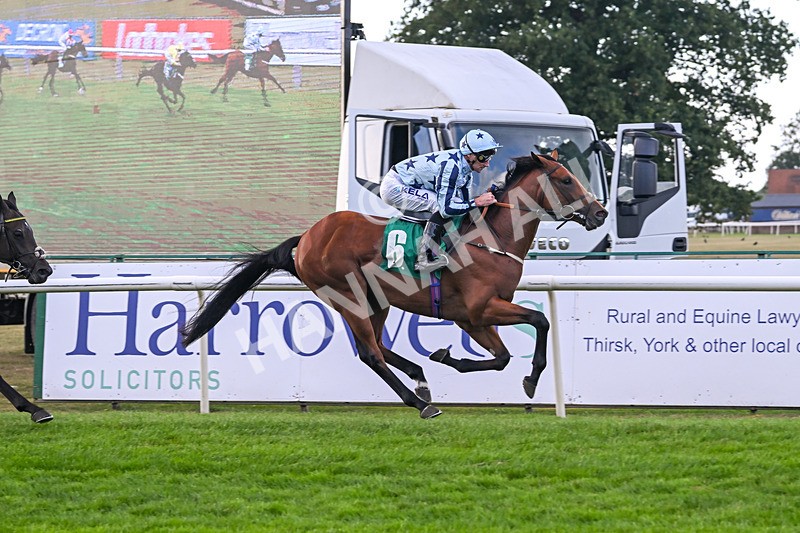 150825-Race 2-Hasbro Market-2549 - Race 2