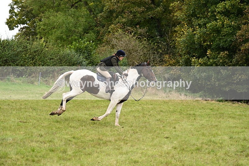 WJ7_4196 - Camera 1 Line 2