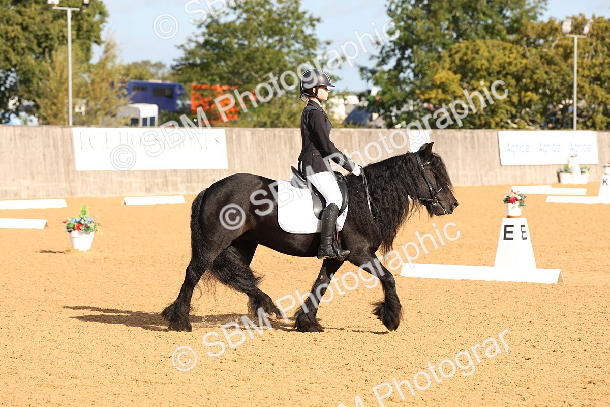 SBM_16098 - D10 - Small Tour Championship Prelim 2