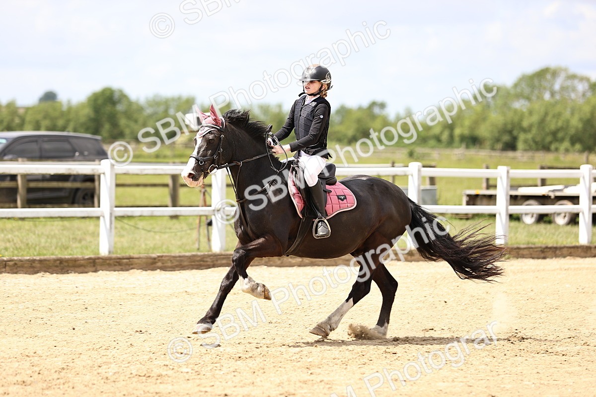 SBM_007591 - Class 2 - 80cm showjumping