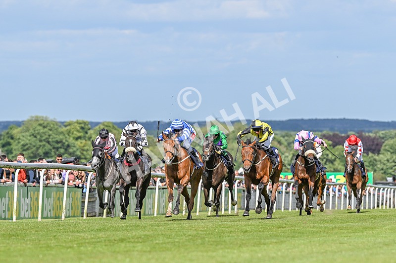 080624-Race 7-This Years Love-7664 - Race 7