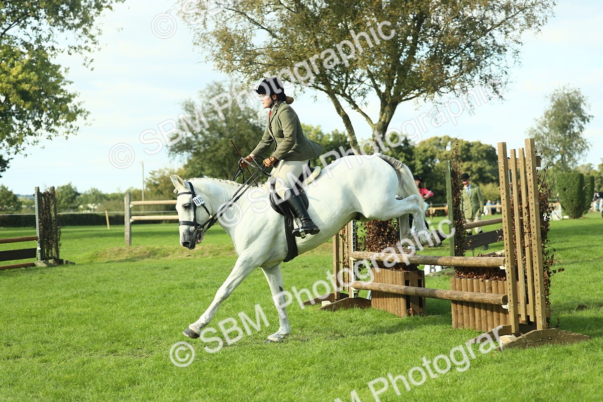 SBM_50552 - S33 - Working Hunter & Working Show Horse