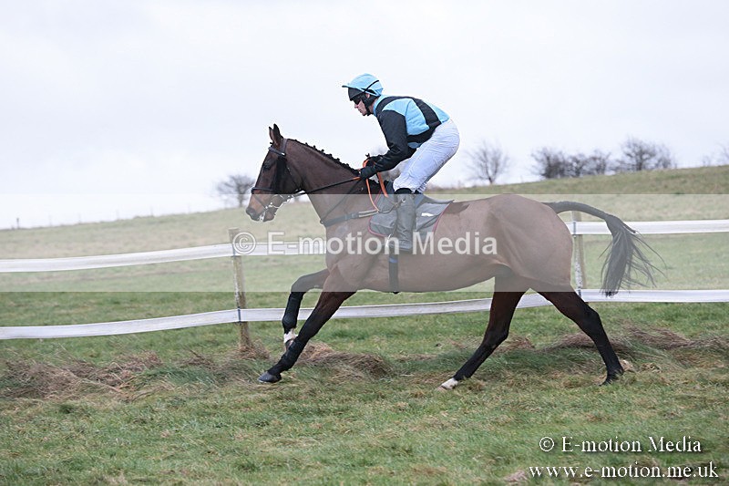 PtP 230119 278 - Royal Artillery Point-to-Point  - Larkhill  - 26/01/19