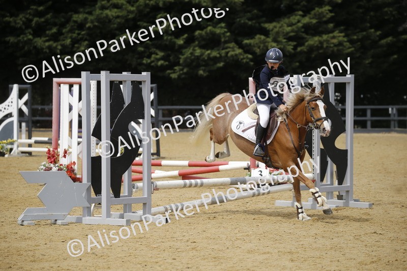 20250622-4048 - 50cm