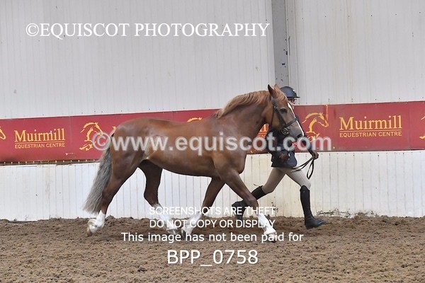 BPP_0758 - RING 2