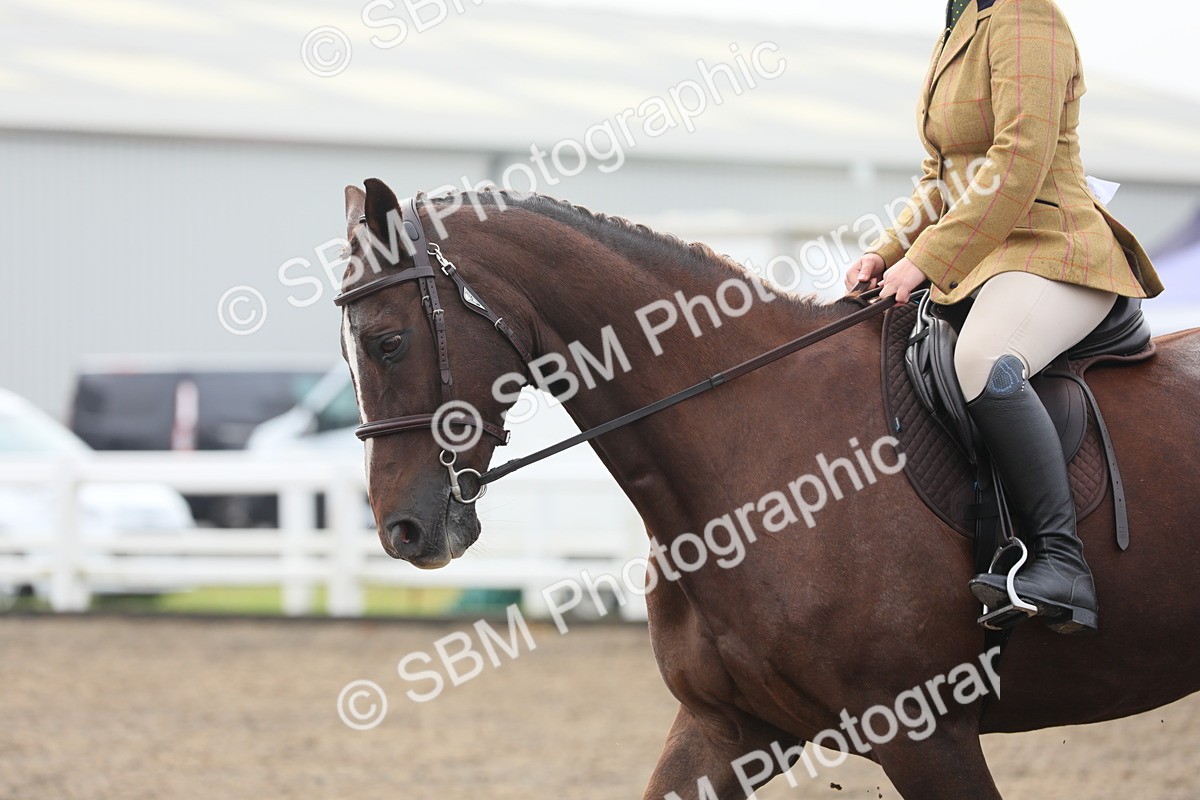 SBM_21344 - Class 805 - Ridden Veteran Horse