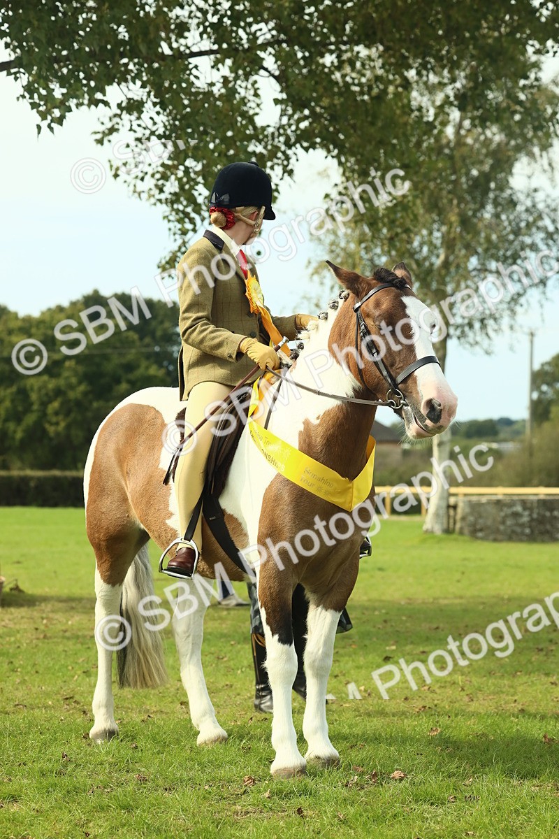 SBM_68143 - S57 - Part Bred Pony Ridden