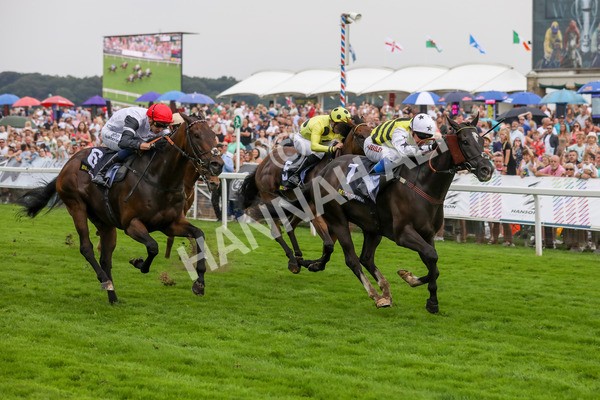 100923-Race 5-Commanche Falls-3959 - Race 5 3.50pm BetGoodwin Garrowby Stakes