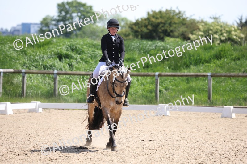 20250520-0794 - Class 5 - Novice 2