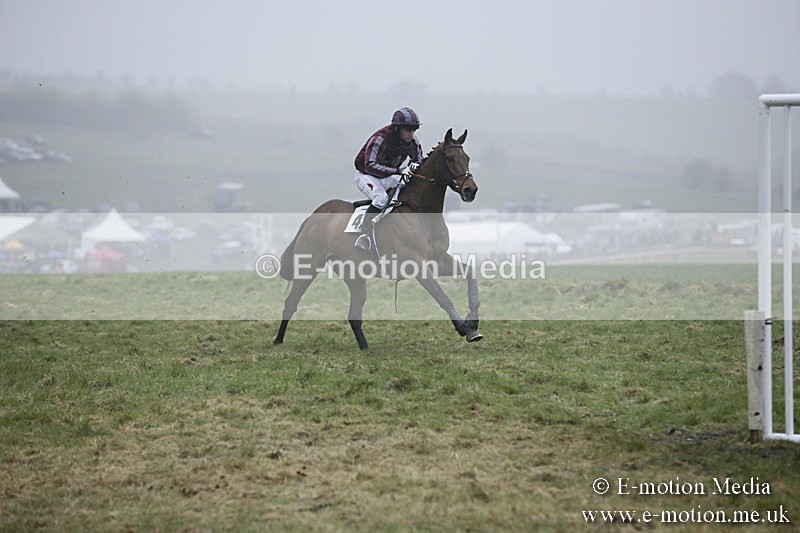 PtP 020418 -289 - Old Berks Point-to-Point Races Easter Monday 02/04/18