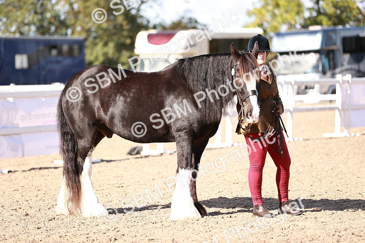 SBM_12603 - Class 404 - IH Traditional - Native Cob