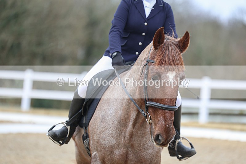 3E7A8979 - Class 2: Intro 1 2024 sec B - part one