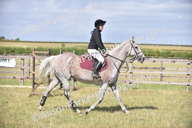 20260906-2700 - Class 13 - Working Hunter Horse or Pony