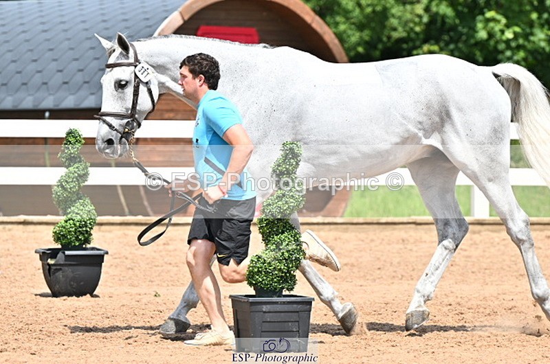 240718A-105313-01722 - Trot Up 1pm to 2pm