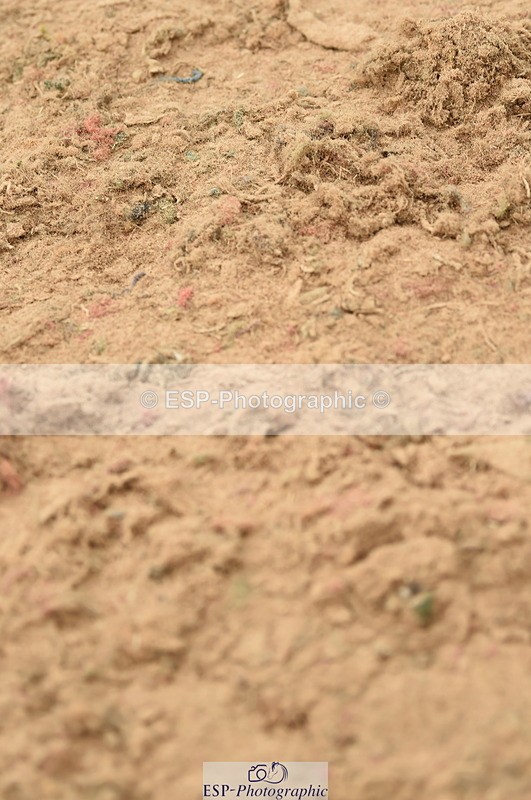 230610A-132756-03484 - Cls 24B 1.10m Amateur Qualifier