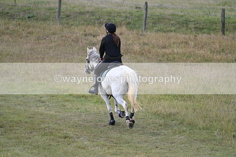 WJ7_5491 - Time 11:22 to 11:41