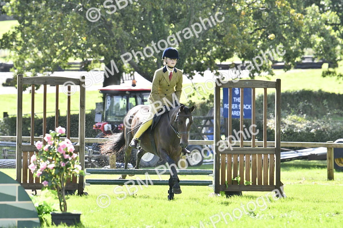 SBM_38258 - S31 - Novice & Newcomer Working Hunter Pony