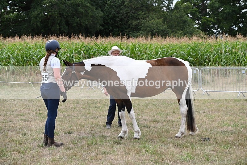 WJ6_5589 - Class 18 In-hand Coloured
