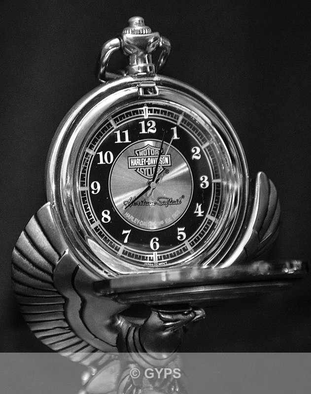 Watch - By Dave Tobin - Monochrome