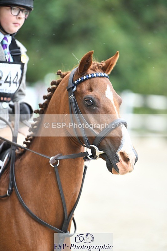 230824-104716-01542 - Round 2 10.45 to 12.03 coursewalk