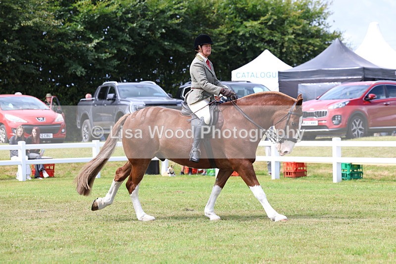 3E7A0170 - Class 6: Rising Star Maxi Cobs