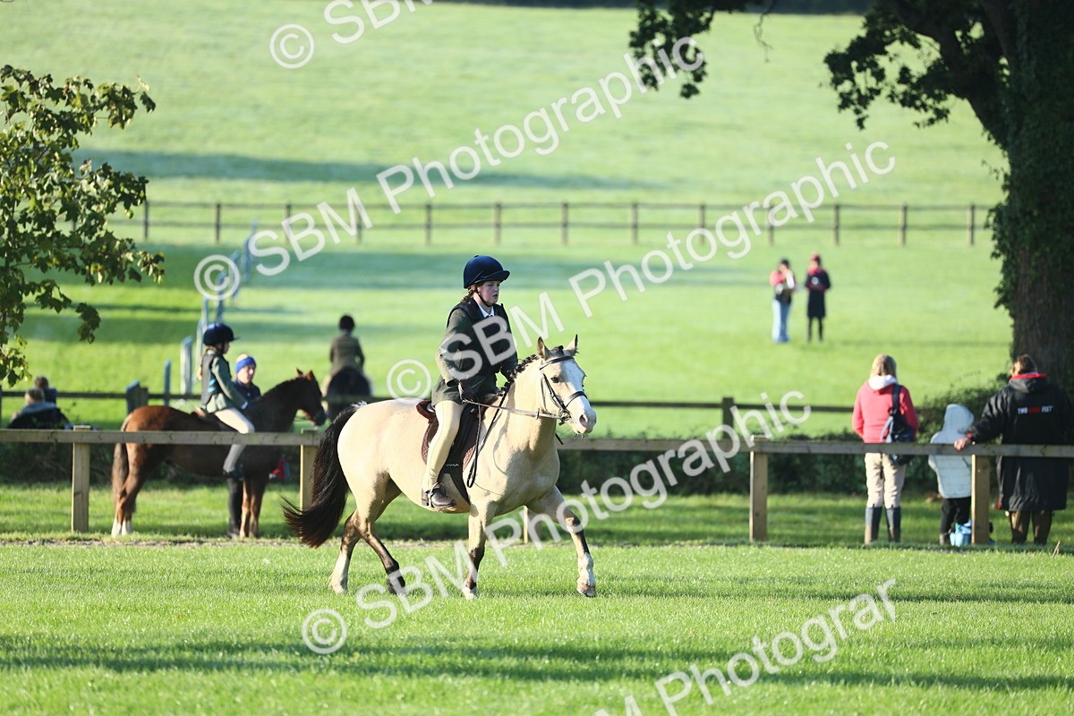 SBM_31849 - S28 - Nursery Stakes Working Hunter Pony