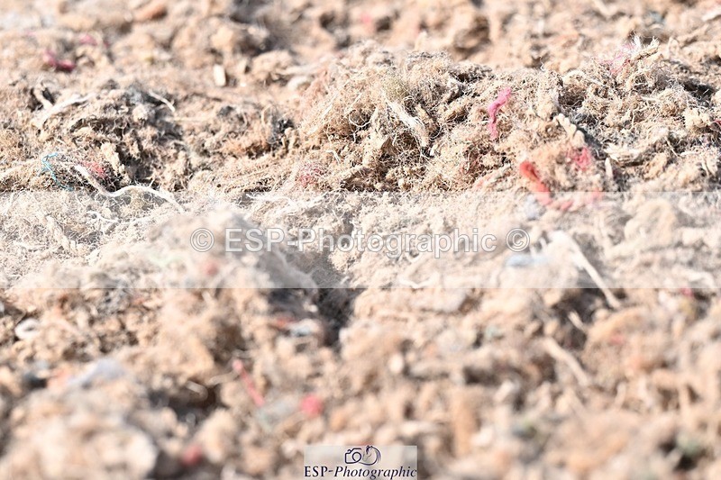 250620-163752-05245 - BD Cls 11 - Medium 6, 16.30 to End