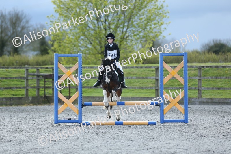20260412-1823 - Show Jumping